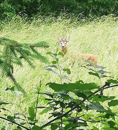 דירה Sopramonte טרנטו
